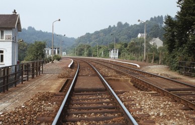 Sy  TH 82-8064.jpg